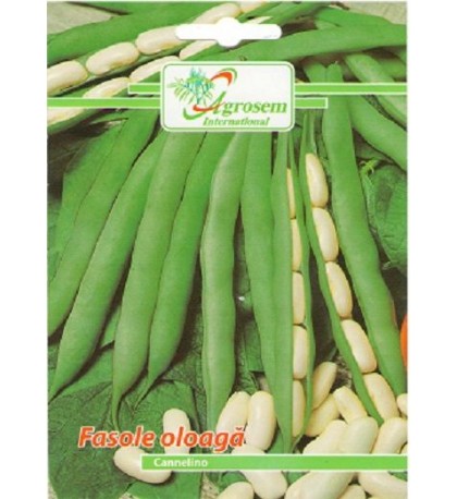 Fasole oloaga Cannelino